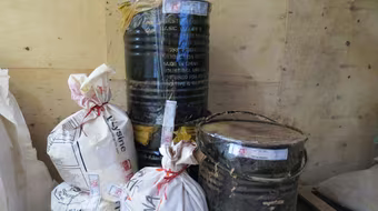 Trộn chất cấm "vàng ô" vào thức ăn chăn nuôi bị bắt quả tang