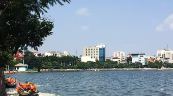 Cá chết trắng Hồ Tây do ô nhiễm hữu cơ vượt mức?