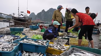 Không còn hải sản nhiễm độc