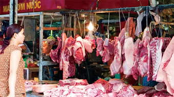 Bộ Nông nghiệp "cầu cứu" Thủ tướng giải cứu chăn nuôi lợn đang bên bờ phá sản