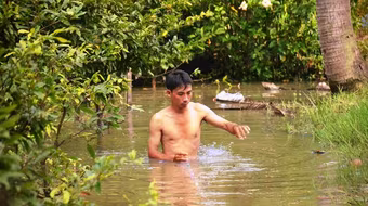 Tràn bờ bao ven sông, hàng nghìn gốc mai của người dân bị nhấn chìm