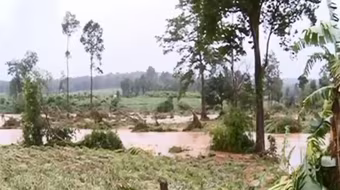 Vỡ đập thủy điện Ia Krêl 2 làm hơn 400 hecta cây trồng bị ngập úng