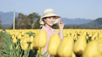 Hoa hậu Tristine Trâm Bùi khoe sắc trong vườn Tulip khổng lồ