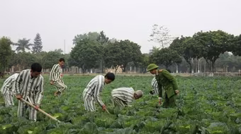 Quy định pháp luật về việc thăm gặp phạm nhân