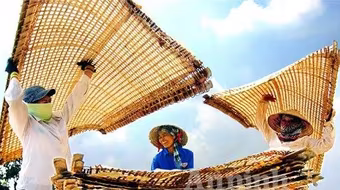 Miến dong - trăm vạn món ngon 