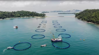 Singapore sử dụng công nghệ AI vì mục tiêu an ninh lương thực