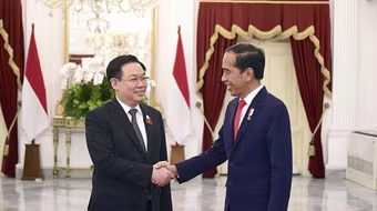 Việt Nam thúc đẩy quan hệ hữu nghị, hợp tác với các nước ở châu Á và Trung Đông 