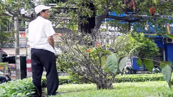 Bị nhắc đi tiểu bậy đâm chết người  