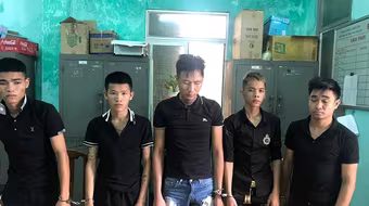 Bắt giữ nhóm đối tượng chuyên trộm cây cảnh
