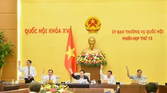 Thông qua Nghị quyết chuyển hàng nghìn ha đất rừng và đất lúa làm cao tốc Bắc - Nam phía đông