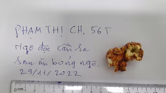 Hà Nội: Một phụ nữ ở Thanh Xuân ngộ độc cần sa, nghi do ăn bỏng ngô bị tẩm ma túy