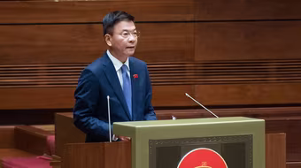 Người trúng đấu giá nhưng bỏ cọc không mua có thể bị phạt tiền bằng 50% mức giá đã trả 