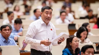 ĐBQH đề nghị cấm mặc áo, sử dụng trang phục có in logo doanh nghiệp vào nghị trường