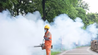 Bộ Y tế: Việt Nam chưa ghi nhận ca bệnh Chikungunya 