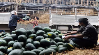 Giao thương với Trung Quốc: Trong "nguy" có "cơ"