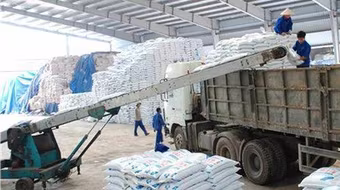 Giá phân bón tăng cao, Bộ Công Thương áp dụng biện pháp tự vệ