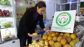 Xử lý nghiêm trường hợp bán trái cây lấn chiếm vỉa hè, lòng đường