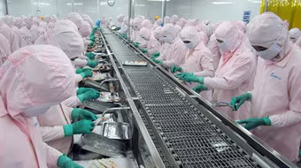 Hơn 28,2 triệu người mất việc làm, nghỉ luân phiên, giảm thu nhập trong 3 tháng qua