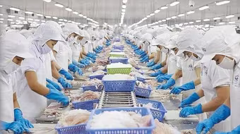 Xuất khẩu thủy sản sang Mỹ tăng đột biến