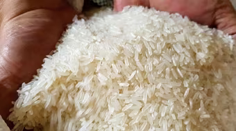 Indonesia cần thêm 1,5 triệu tấn gạo dự trữ quốc gia trong năm 2023