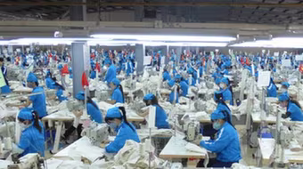 Nhiều mặt hàng xuất khẩu sang EU tăng mạnh