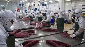 Căng thẳng thương mại toàn cầu: Doanh nghiệp Việt Nam cần thích ứng linh hoạt