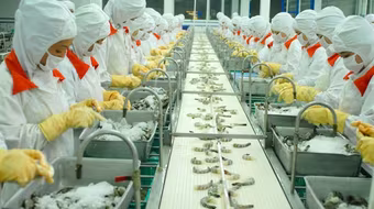 Doanh nghiệp muốn tháo gỡ điểm nghẽn về thủ tục hành chính