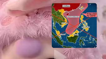 Khách hàng Việt tẩy chay Baby Three vì nghi có “đường lưỡi bò”