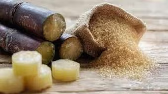 Áp dụng biện pháp chống lẩn tránh với đường mía nhập khẩu