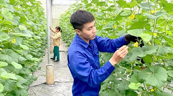 Từ ngày 1-7, tổng điều tra nông thôn, nông nghiệp 2025