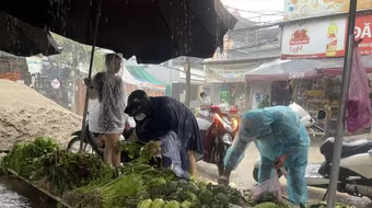 Rau xanh vẫn “đắt kinh khủng”