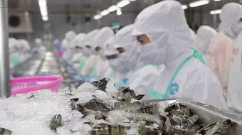 Thu gần 8,17 tỷ USD từ xuất khẩu thủy sản trong 9 tháng đầu năm