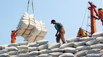 Đề xuất bổ sung chế tài với thương nhân vi phạm quy định kinh doanh xuất khẩu gạo