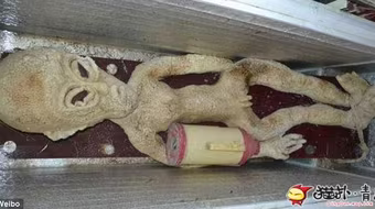 Nông dân Trung Quốc khoe ảnh chụp với người ngoài hành tinh