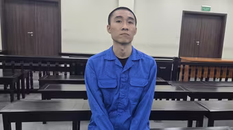 Cựu nhân viên viễn thông lừa đảo bằng mánh đầu tư đường truyền Internet