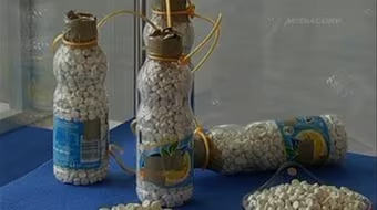 Hải quan Đức triệt phá một đường dây buôn ma túy lớn