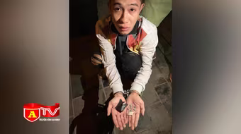 Công an phường Nhật Tân liên tiếp bắt giữ hai vụ mua bán và tàng trữ trái phép ma tuý