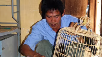 10 chim sáo "tiếp sức" giấc mơ thi đại học