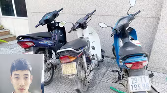 'Gỡ' ổ trộm cắp, tiêu thụ tài sản do người khác phạm tội mà có