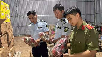 Phát hiện gần 35.000 sản phẩm nhập lậu, nhiều loại đã thối rữa