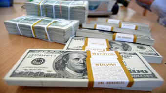 Kiều hối tăng bất chấp khủng hoảng