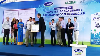 Trang trại bò sữa đầu tiên tại Đông Nam Á được chứng nhận đạt tiêu chuẩn quốc tế