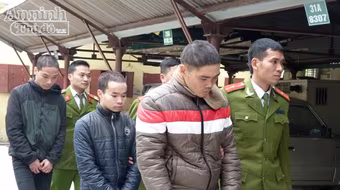 Rượu say, rủ nhau... cho ôtô "ăn củ đậu bay"