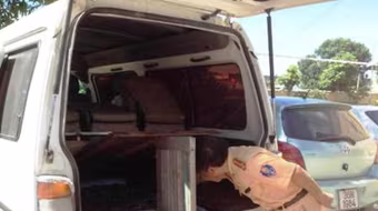 "Chế" khoang ngầm để vận chuyển vảy tê tê