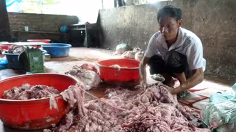 Hãi hùng cảnh chế biến mỡ, bì lợn siêu bẩn