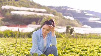 Vì sao Lý Nhã Kỳ vắng mặt tại LHP Cannes 2023?