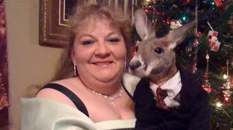 Người phụ nữ nuôi Kangaroo như con