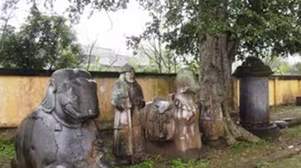 Bí ẩn hai hàng voi, ngựa đá ở Thái Bình