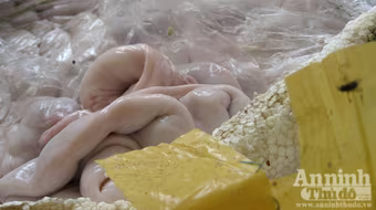 Chạy tứ tán khi bị phát hiện, vứt lại nửa tấn tràng lợn "bẩn"