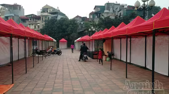 "Phố" biến thành "vườn", ông Đồ vắng bóng